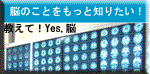 教えて!Yes脳